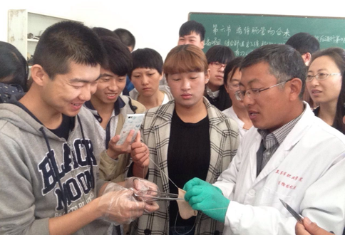 1431410225266294.png QQ图片20150512135153.png