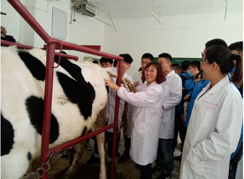 1431410012957697.png QQ图片20150512135134.png